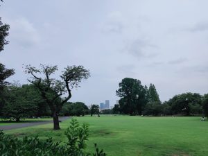 Shinjuku Gyoen, a must-visit & highly recommended tourist spot