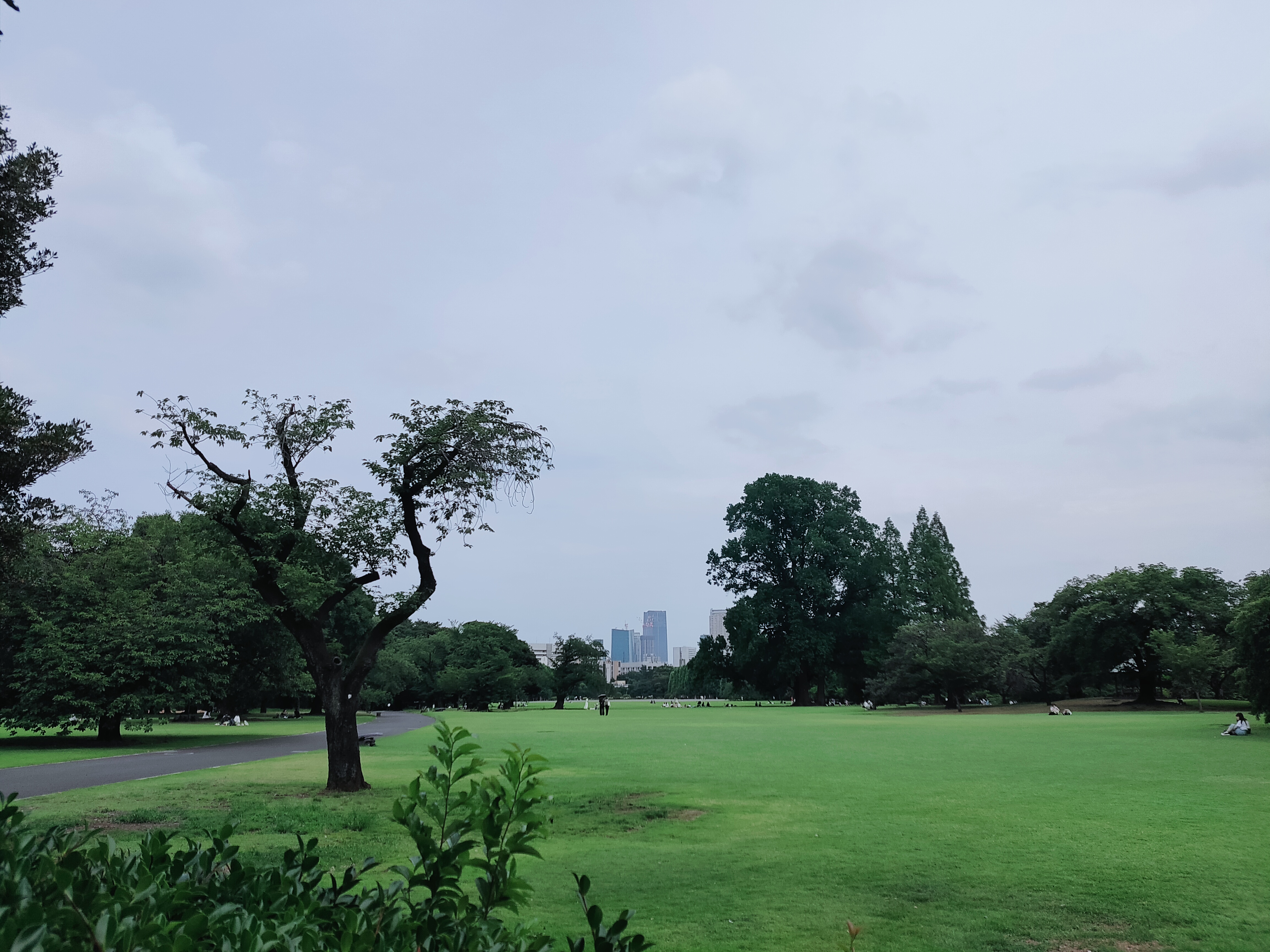 Shinjuku Gyoen, a must-visit & highly recommended tourist spot